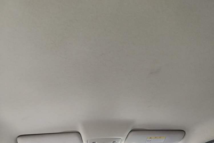 Used Leapmotor T03 2022 Glazed Edition Headliner