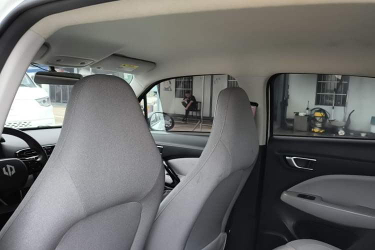 Used Leapmotor T03 2022 Glazed Edition Headliner