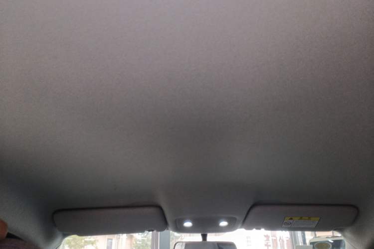 Used Leapmotor T03 2022 Agate Edition Headliner