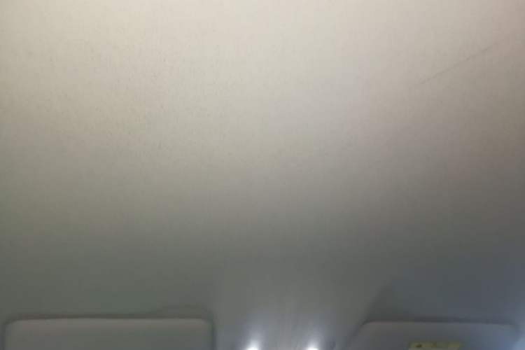 Used Leapmotor T03 2022 Crystal Edition Headliner