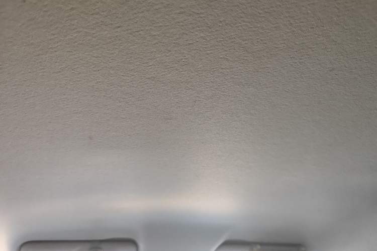 Used Leapmotor T03 2022 Crystal Edition Headliner