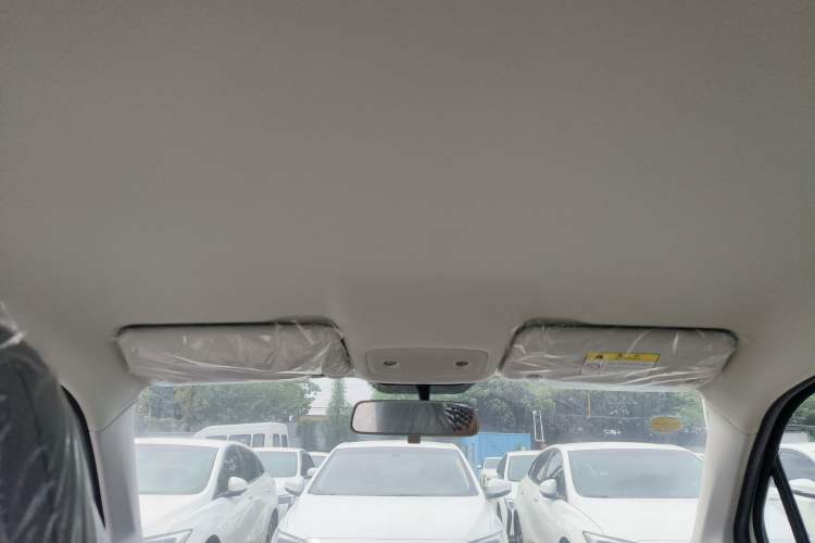 Used Leapmotor T03 2022 Agate Edition Headliner
