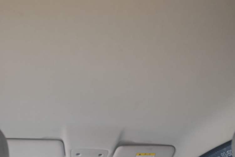 Used Leapmotor T03 2022 Crystal Edition Headliner
