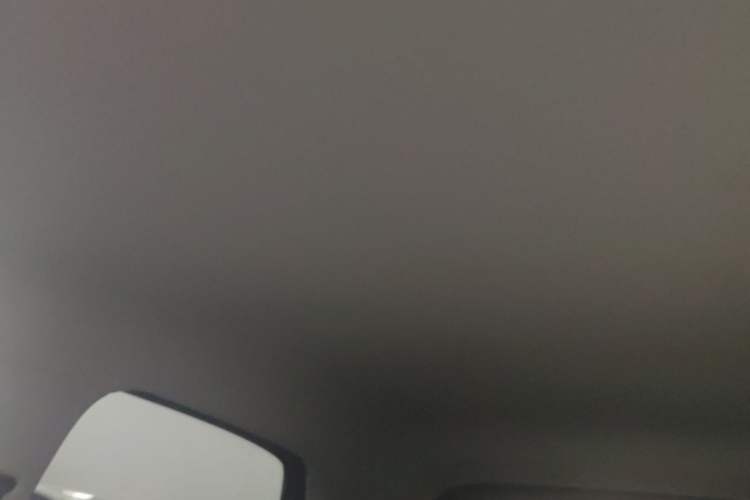 Used Leapmotor T03 2022 Glazed Edition Headliner