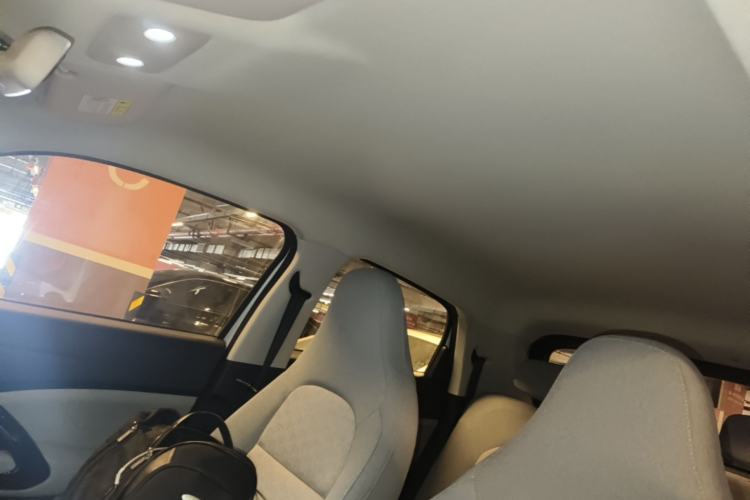 Used Leapmotor T03 2022 Crystal Edition Headliner