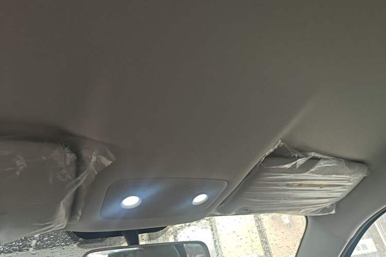 Used Leapmotor T03 2022 Hometown Jade Edition Headliner