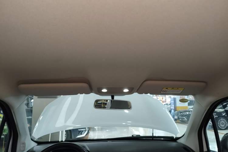 Used Leapmotor T03 2022 Agate Edition Headliner