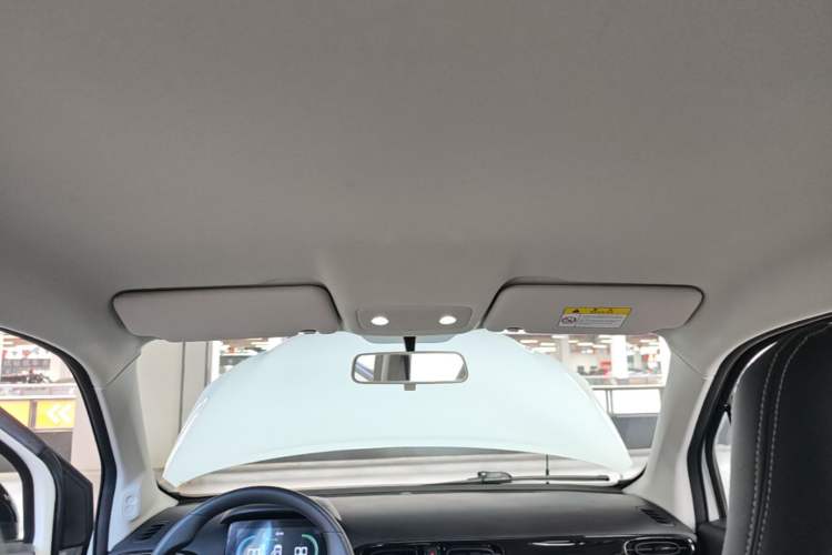 Used Leapmotor T03 2022 Hometown Jade Edition Headliner