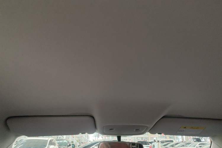 Used Leapmotor T03 2022 Crystal Edition Headliner