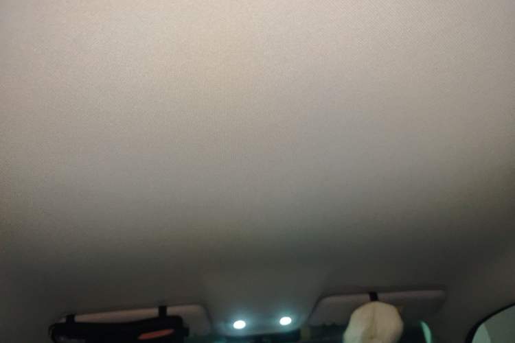 Used Leapmotor T03 2022 Crystal Edition Headliner