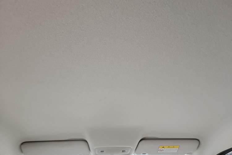 Used Leapmotor T03 2022 Crystal Edition Headliner