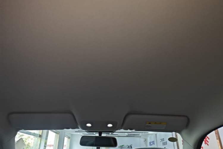 Used Leapmotor T03 2022 Hometown Jade Edition Headliner