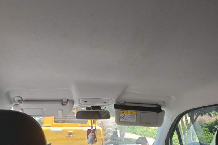 Used Leapmotor T03 2022 Agate Edition Headliner