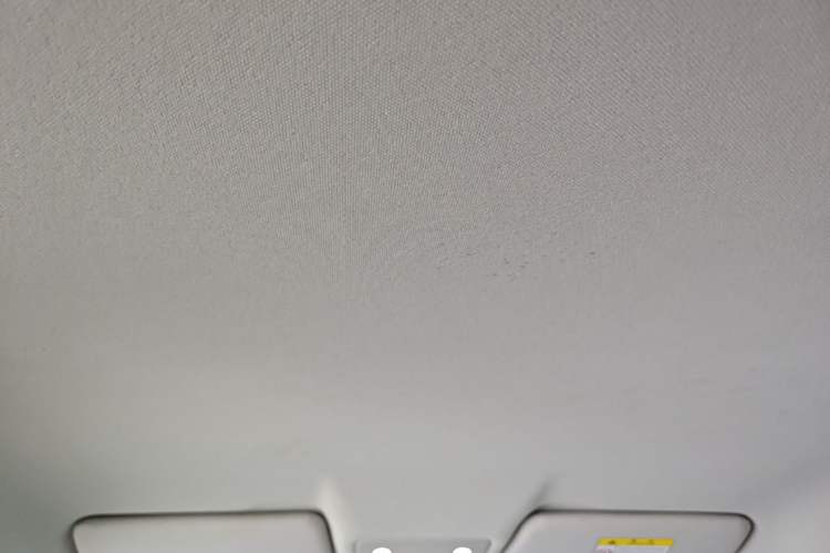 Used Leapmotor T03 2022 Agate Edition Headliner