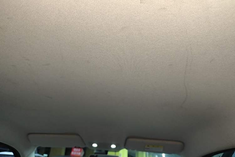 Used Leapmotor T03 2022 Glazed Edition Headliner