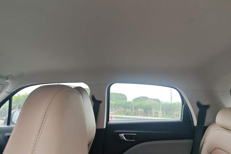 Used Leapmotor T03 2022 Glazed Edition Headliner