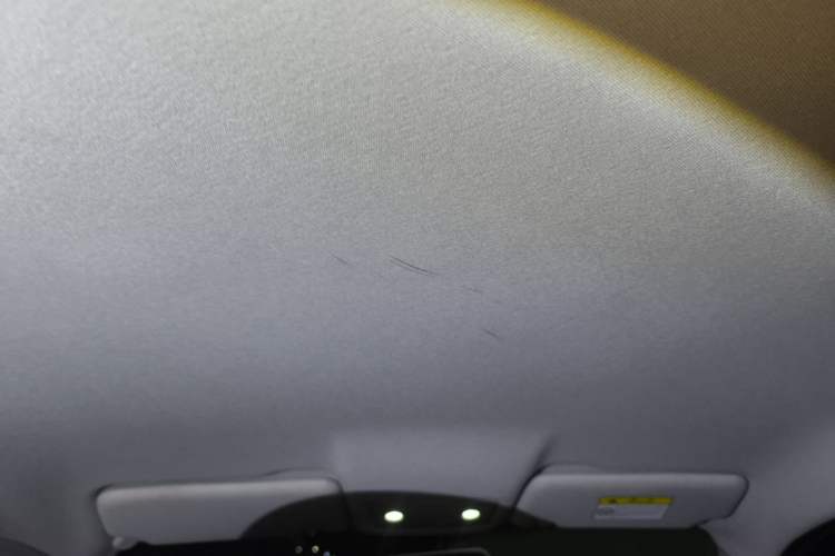 Used Leapmotor T03 2022 Glazed Edition Headliner