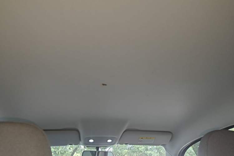Used Leapmotor T03 2022 Glazed Edition Headliner