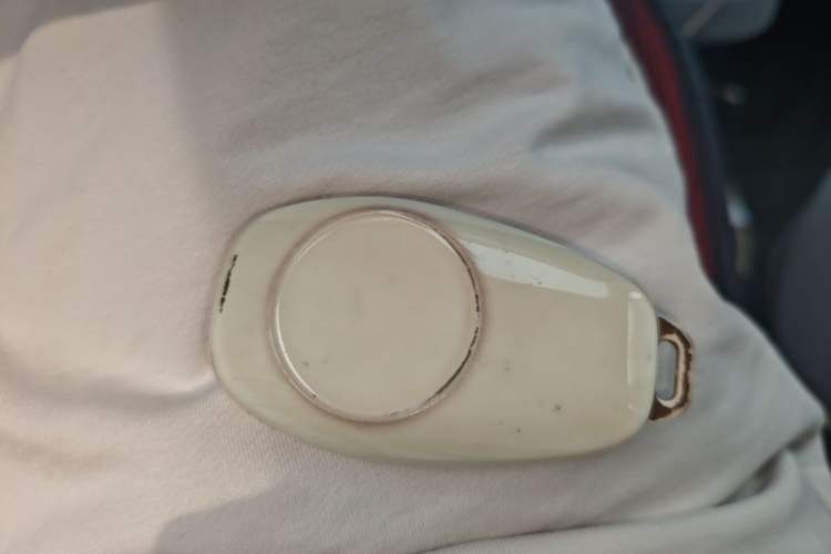 Used Leapmotor T03 2022 Hometown Jade Edition Interior 1
