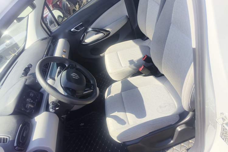 Used Leapmotor T03 2022 Hometown Jade Edition Left Front Seat