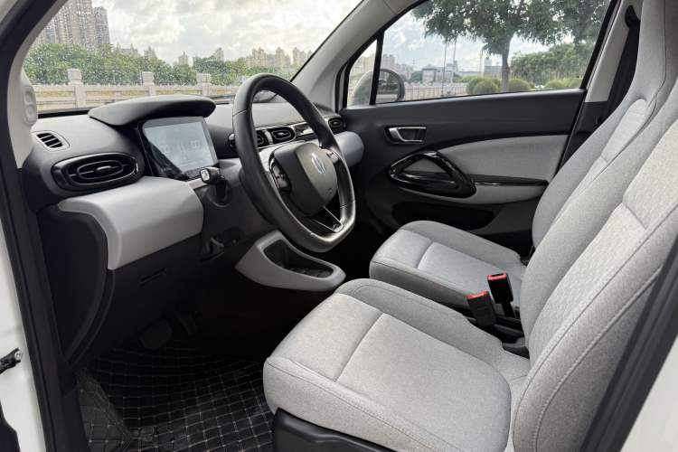 Used Leapmotor T03 2022 Hometown Jade Edition Left Front Seat