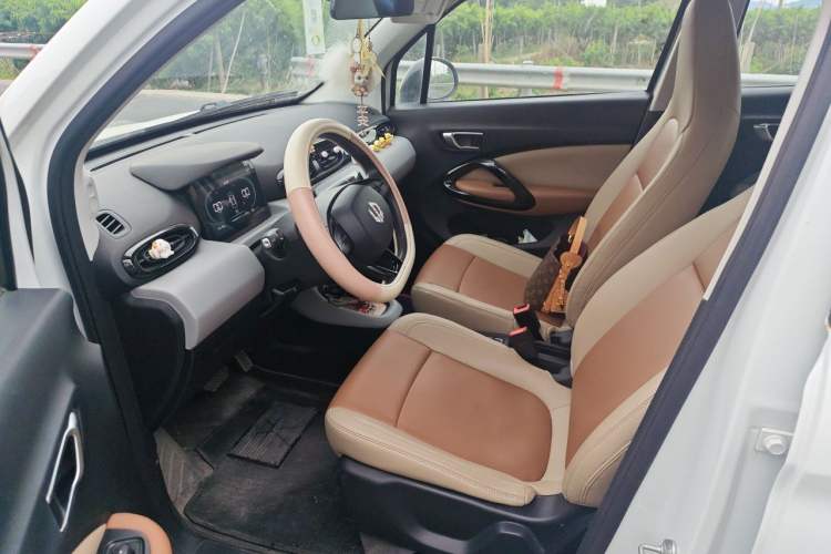Used Leapmotor T03 2022 Glazed Edition Left Front Seat