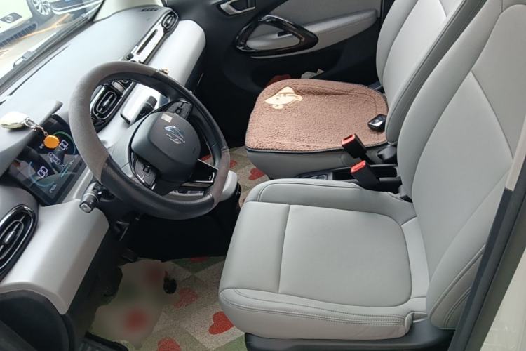 Used Leapmotor T03 2022 Hometown Jade Edition Left Front Seat