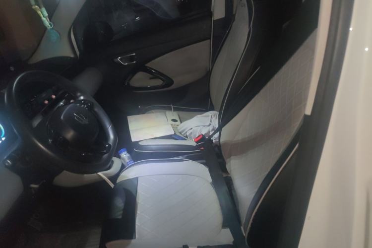 Used Leapmotor T03 2022 Hometown Jade Edition Left Front Seat