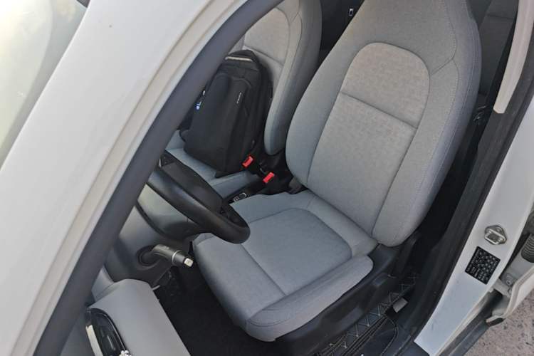 Used Leapmotor T03 2022 Crystal Edition Left Front Seat