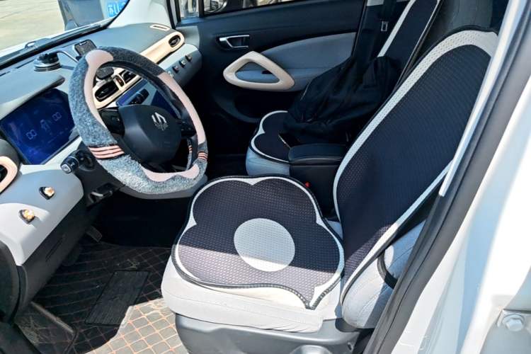 Used Leapmotor T03 2022 Crystal Edition Left Front Seat