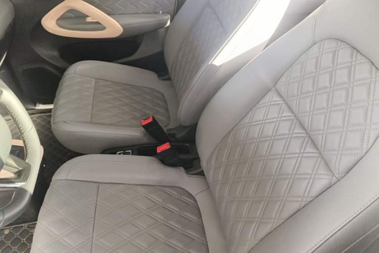 Used Leapmotor T03 2022 Star Diamond Edition Left Front Seat