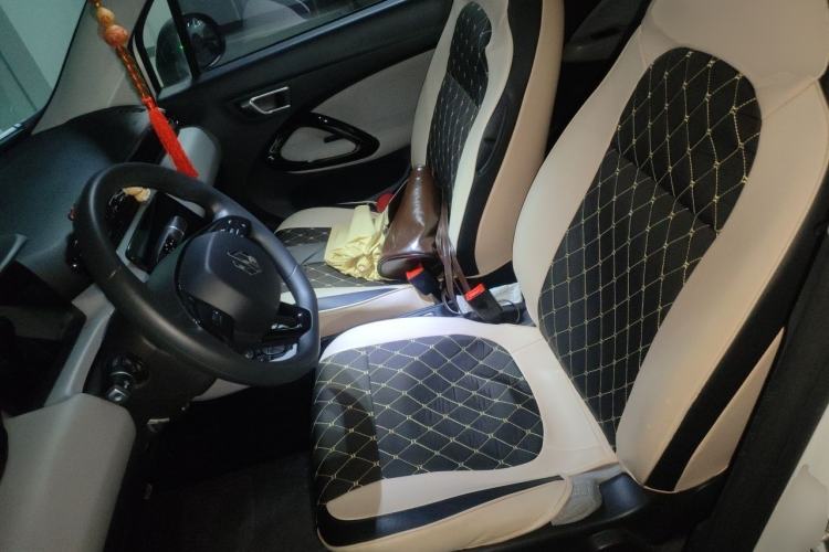 Used Leapmotor T03 2022 Crystal Edition Left Front Seat