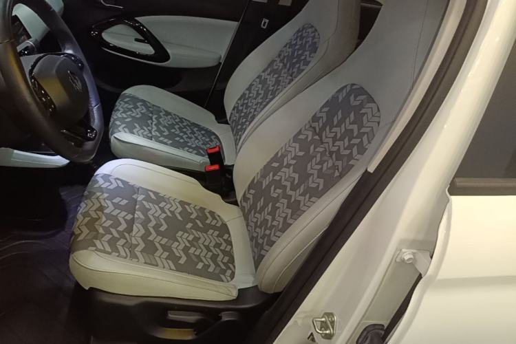 Used Leapmotor T03 2022 Star Diamond Edition Left Front Seat