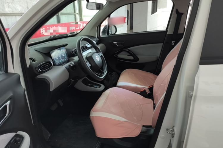 Used Leapmotor T03 2022 Hometown Jade Edition Left Front Seat