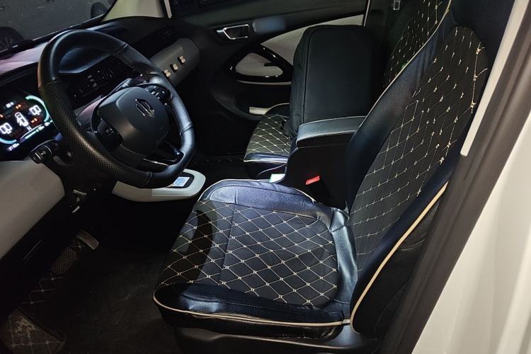 Used Leapmotor T03 2022 Crystal Edition Left Front Seat