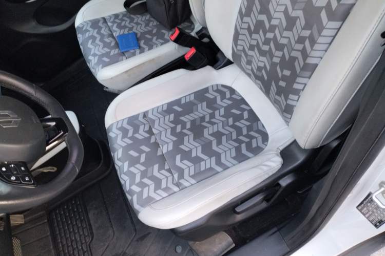 Used Leapmotor T03 2022 Star Diamond Edition Left Front Seat