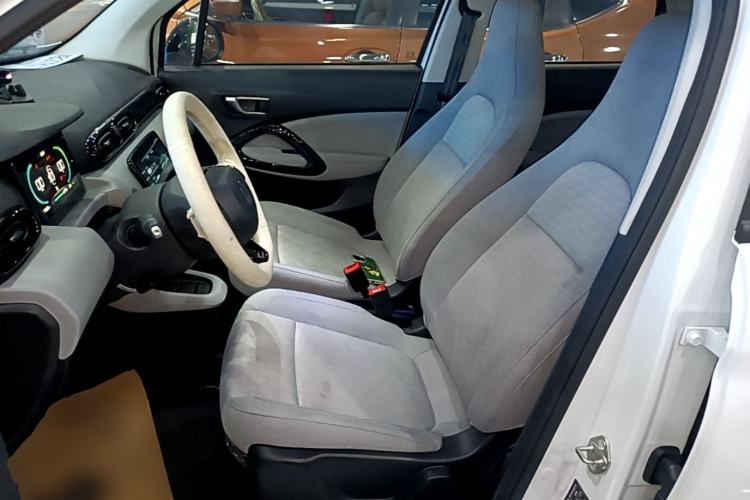 Used Leapmotor T03 2022 Crystal Edition Left Front Seat