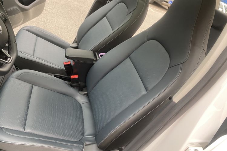 Used Leapmotor T03 2022 Star Diamond Edition Left Front Seat