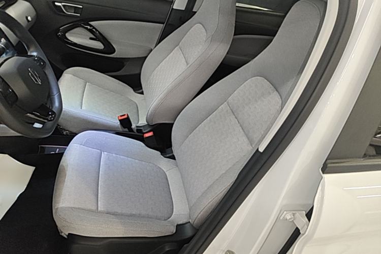 Used Leapmotor T03 2022 Glazed Edition Left Front Seat