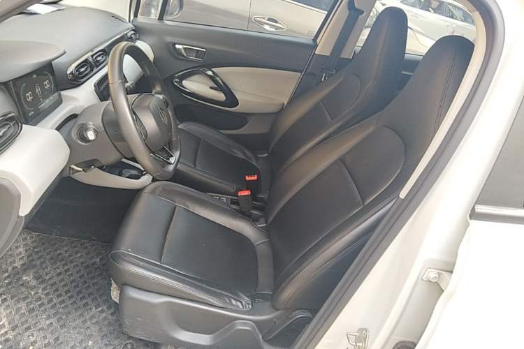 Used Leapmotor T03 2022 Glazed Edition Left Front Seat