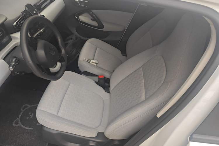 Used Leapmotor T03 2022 Crystal Edition Left Front Seat