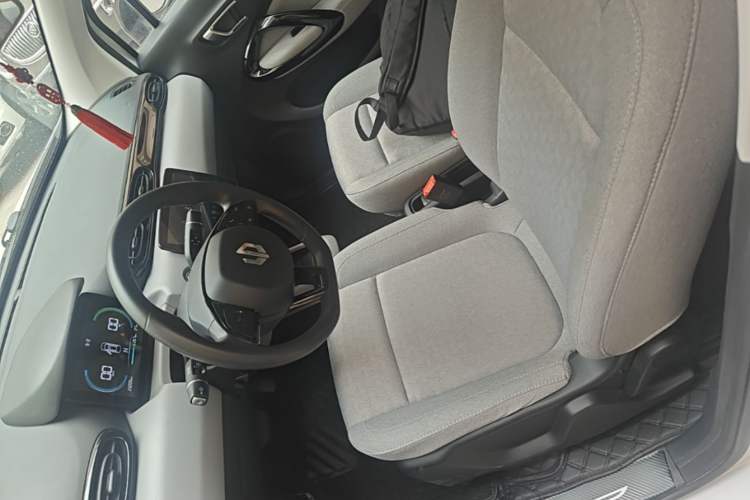 Used Leapmotor T03 2022 Hometown Jade Edition Left Front Seat