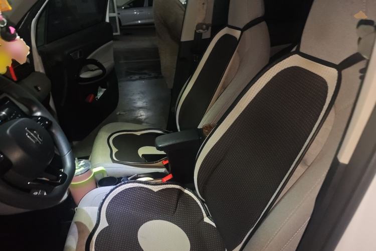 Used Leapmotor T03 2022 Crystal Edition Left Front Seat
