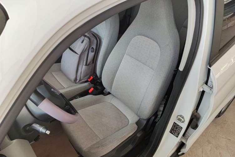 Used Leapmotor T03 2022 Crystal Edition Left Front Seat