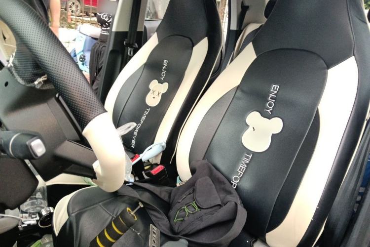 Used Leapmotor T03 2022 Hometown Jade Edition Left Front Seat