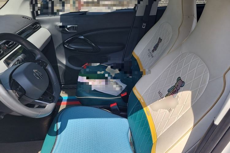 Used Leapmotor T03 2022 Crystal Edition Left Front Seat