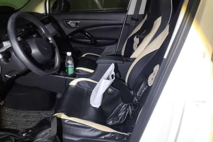 Used Leapmotor T03 2022 Glazed Edition Left Front Seat
