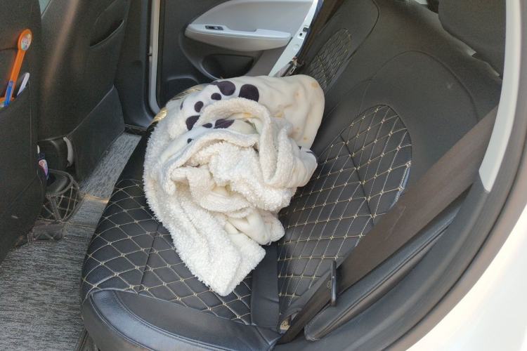 Used Leapmotor T03 2022 Crystal Edition Left Rear Seat
