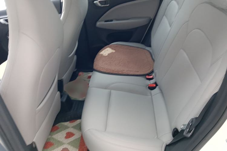 Used Leapmotor T03 2022 Hometown Jade Edition Left Rear Seat