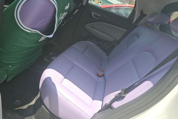 Used Leapmotor T03 2022 Hometown Jade Edition Left Rear Seat